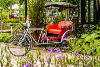 DD Garden Home - Phayao - 4
