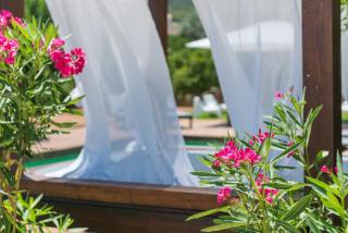 Hotel Turixant - Mancor del Valle - 6