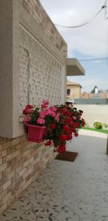 Shahal Apartments - 4