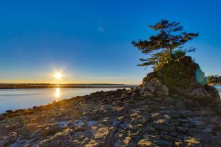 Wycliff Beach Condo - 5