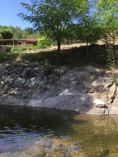 gite du devez des bruyéres - Prades - 6