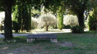 Domaine de Bellevue CHAMBRE D'HÔTES - Beaumes-de-Venise - 3