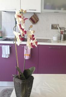 My House for Florence, Airconditioned - Easy Parking - Scandicci - 6