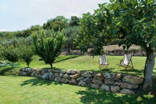 Agriturismo Caranatura - 4