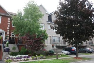Sara's Place - Strictly Kosher Home - 0