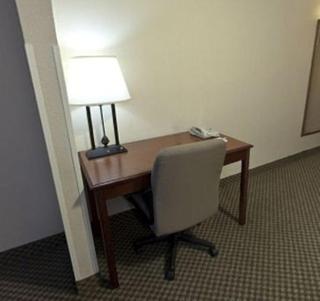 Holiday Inn Express Hotel & Suites Forest by IHG - Forest - 7
