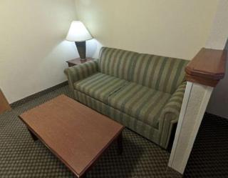 Holiday Inn Express Hotel & Suites Forest by IHG - Forest - 9