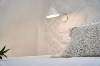 Petri Suites - 7