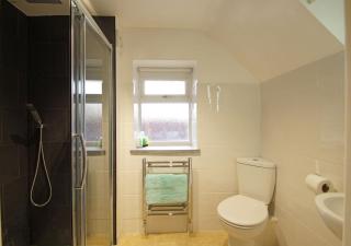 Hafod - Llanddwywe - 1