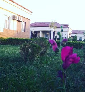 Shamakhy Sport Villas - 8