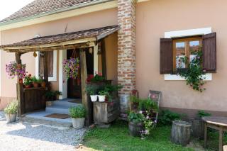 Apartment Eko Etno selo Stara Kapela, Pavina kuća - 7