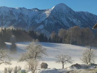 Haus Brandstaetter - Grundlsee - 2