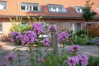 Pension Thieshof - Amelinghausen - 9