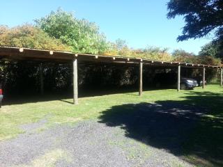 Complejo Kayen - San Pedro Golf Club - 5