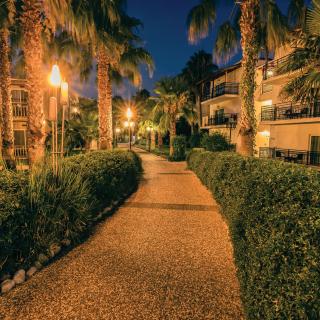Paloma Oceana - 5