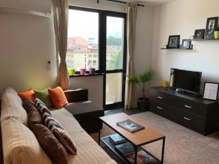 Golden Dome view Apartment - Sofia - 8