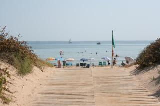 OLIVA HOLIDAYS 1 - Oliva - 7