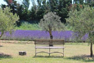 Le Mas Les Eydins - Bonnieux - 4