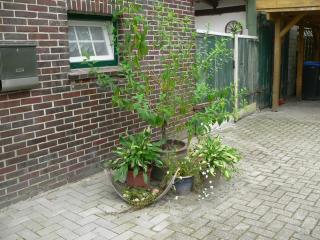 Ferienhaus Zum grünen Holz - Zetel - 3