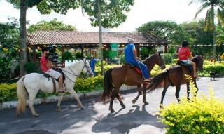 Viver Hotel Fazenda - Moreno - 8
