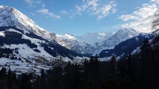 Hotel Crystal - Adelboden - 1