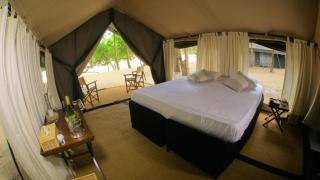Leopard Trails Yala - 9