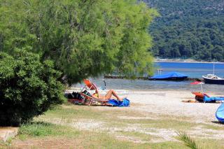 Apartments by the sea Sladjenovici, Dubrovnik - 11531 - Slano - 9