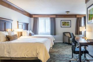 Best Western Black Hills Lodge - Spearfish - 7