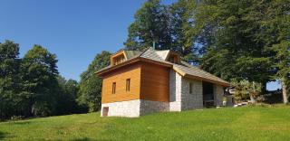 Green Forest - 5