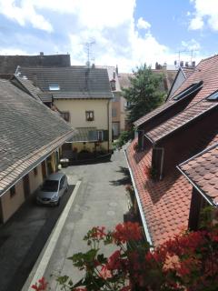 Gite Muscat - Colmar - 8