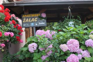 Apartment Žalac - Slunj - 6