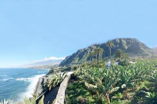 Hacienda El Cardon - San Juan de la Rambla - 7