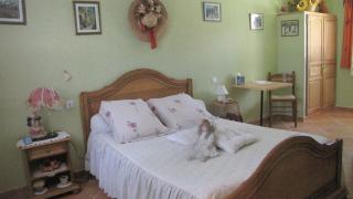 Casa das Oliveiras - Flassans-sur-Issole - 4