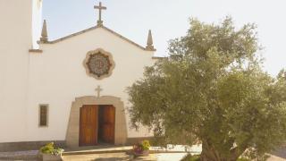 Suites Do Pinhal - Proença-a-Nova - 1