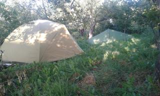 Issyk-Kul - Camping Grigoryevka - Grigor'yevka - 5
