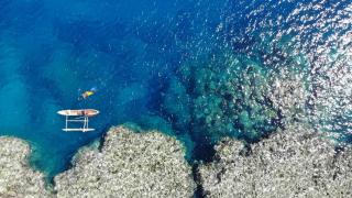 Tanna Evergreen Resort & Tours - 2