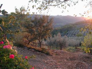 Poggio Borgoni - Mercatale Val Di Pesa - 9