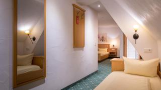 Gasthaus Hotel Adler - Endingen - 5
