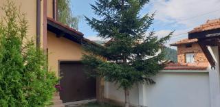 Ashkova House - 6