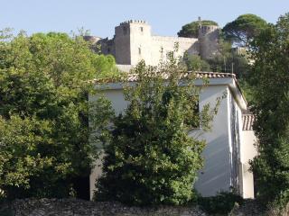 Gîte Les Clapas - Boissières - 4