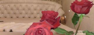 Royal King and Queen apartment for Luxury Life - Sarandë - 2