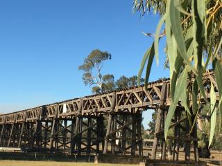 Tuckerbox Motor Inn - 2