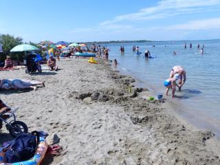 Apartment Nin beach - 0