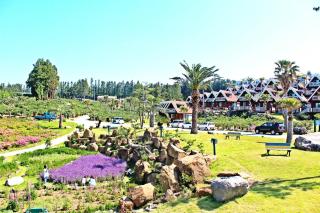 Jungmun Log Pension & Resort - Seogwipo - 5