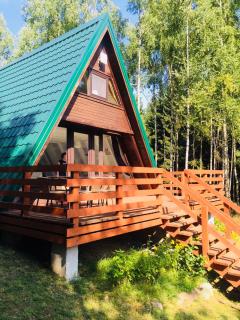 Domek Przy Lesie - Kurzętnik - 1