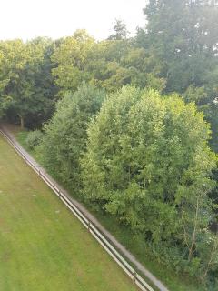 Ferienwohnungen Kaiserstuhl Deluxe bei Freiburg - 3