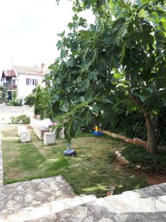 Studio Apartman Splash - Pješčana Uvala - 9