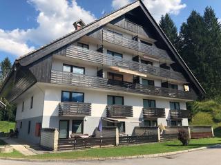 Apartma Vintage Bohinj - Bohinj - 7