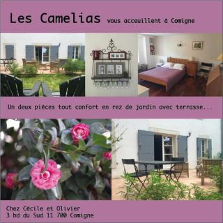 C&O Appartements - Comigne - 9