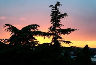 Il Melograno - Torrita di Siena - 2